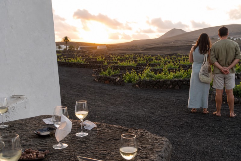 Sunset Departure, Chocolate Tasting