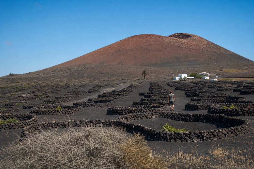 Black volcanic ash pits with green vines stretching toward a distant volcano under a blue sky