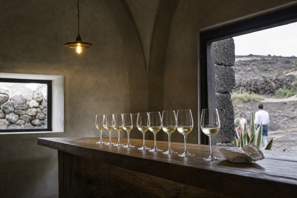A row of white wine glasses on a wooden tasting table in a dark bodega interior