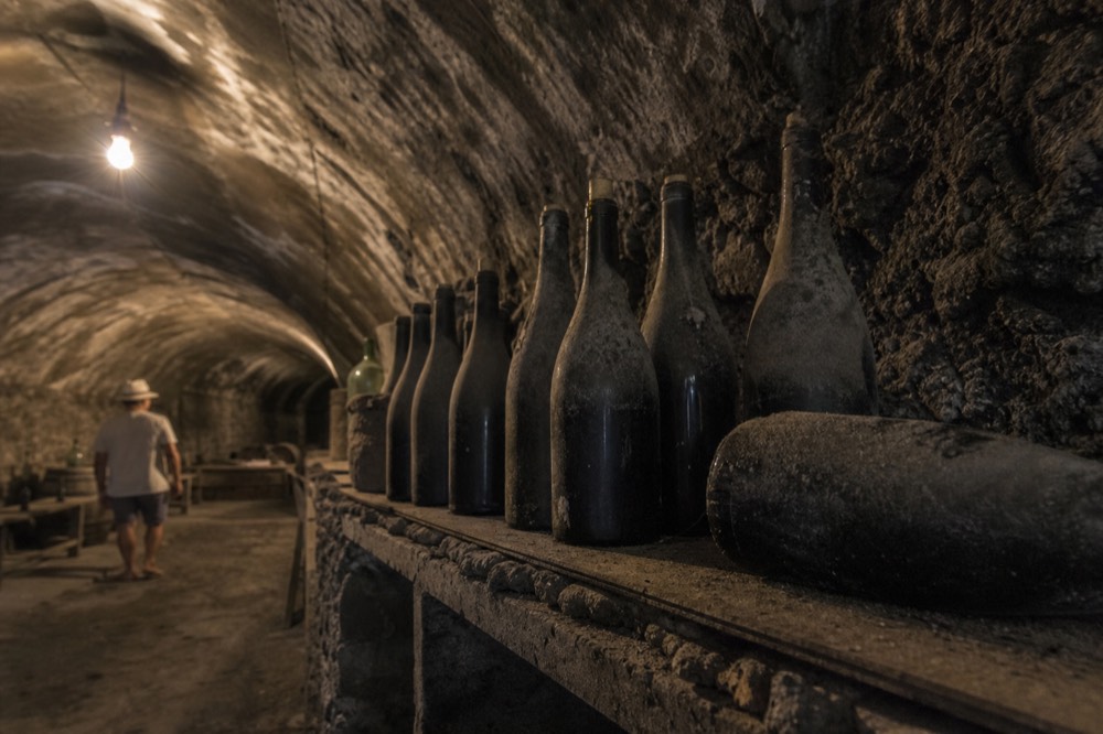 Bottles of white wine lined up in a dark bodega cellar