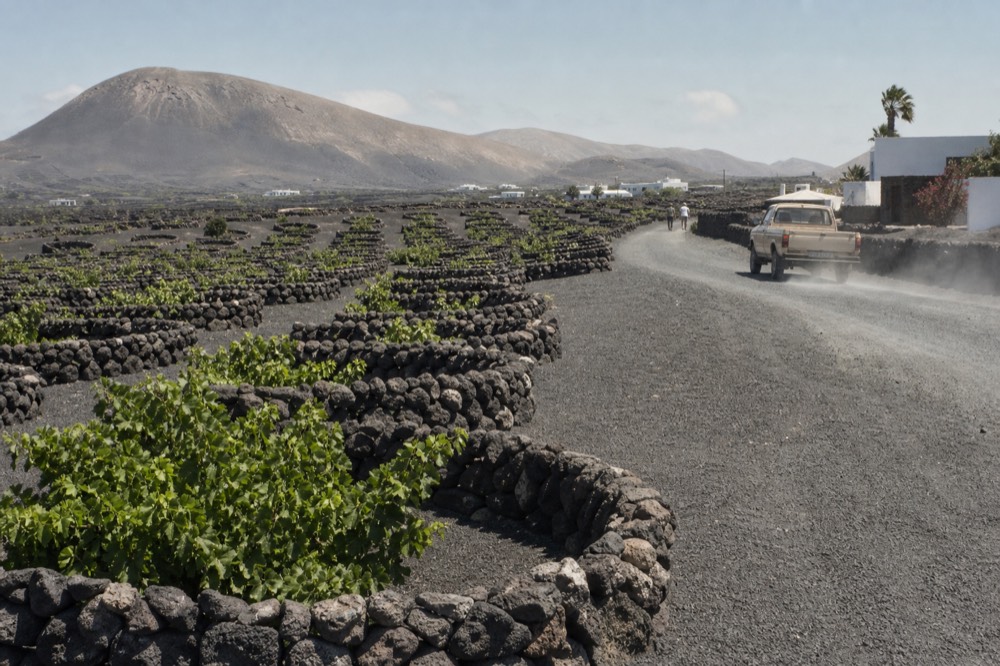 Rows of low black stone vine pits stretching toward volcanic cones in La Geria