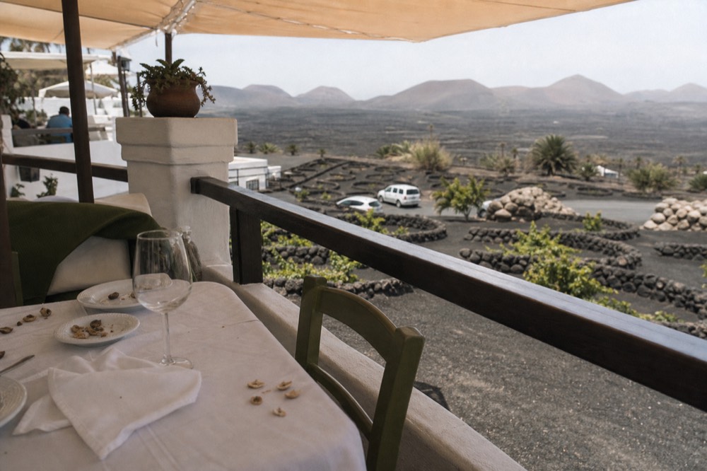 A winery restaurant terrace overlooking rows of vine pits in black ash