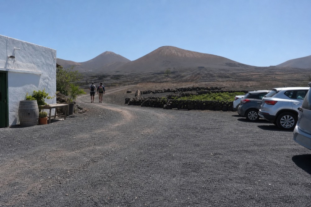 A gravel parking area beside a white bodega building with rows of dark stone vine walls beyond
