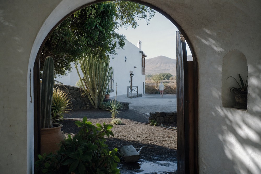 El Grifo courtyard with cactus garden and whitewashed walls