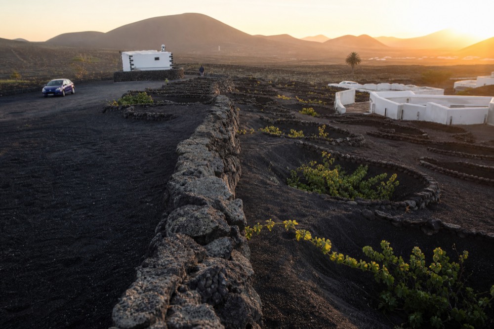 Sunset over La Geria vineyards with stone walls