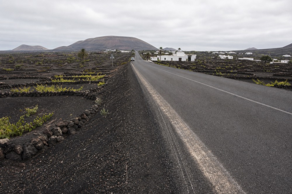 The LZ-30 road cutting through black ash fields with scattered green vine pits on both sides