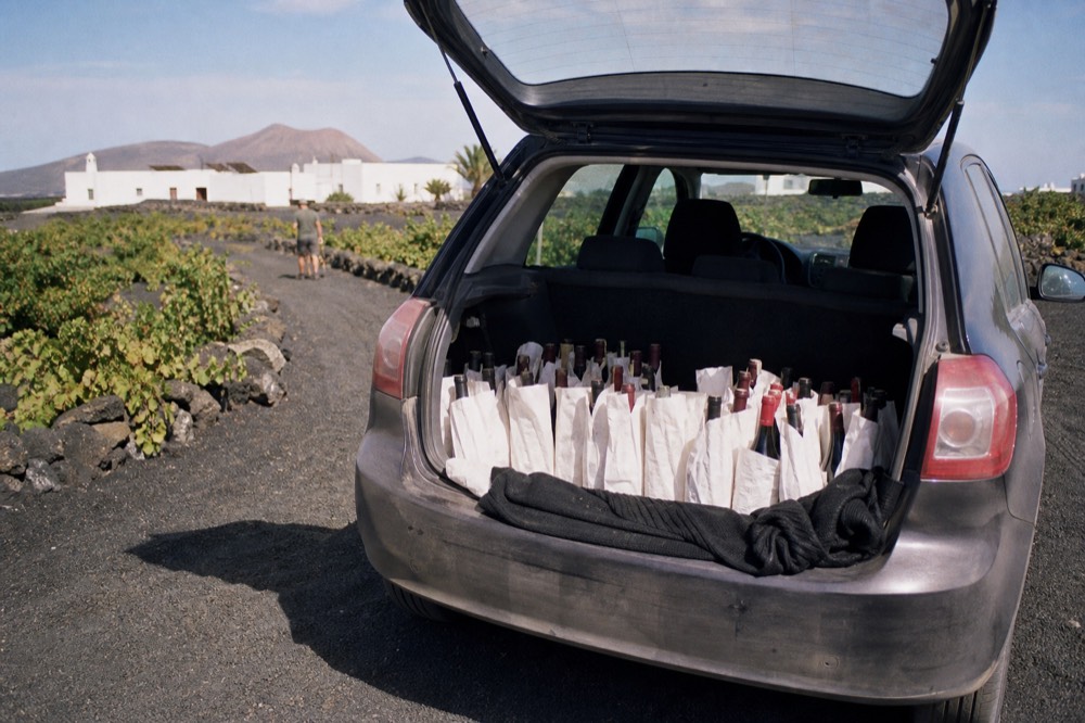 Wine bottles packed in a car boot with protective sleeves between vineyard rows
