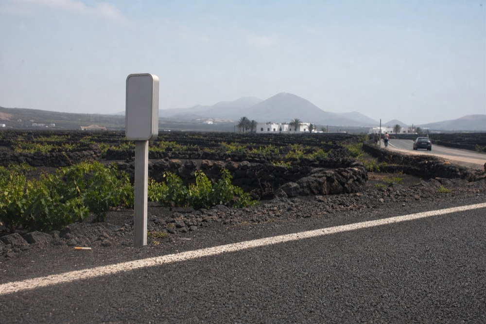 A road sign on the LZ-30 with vineyards in the background