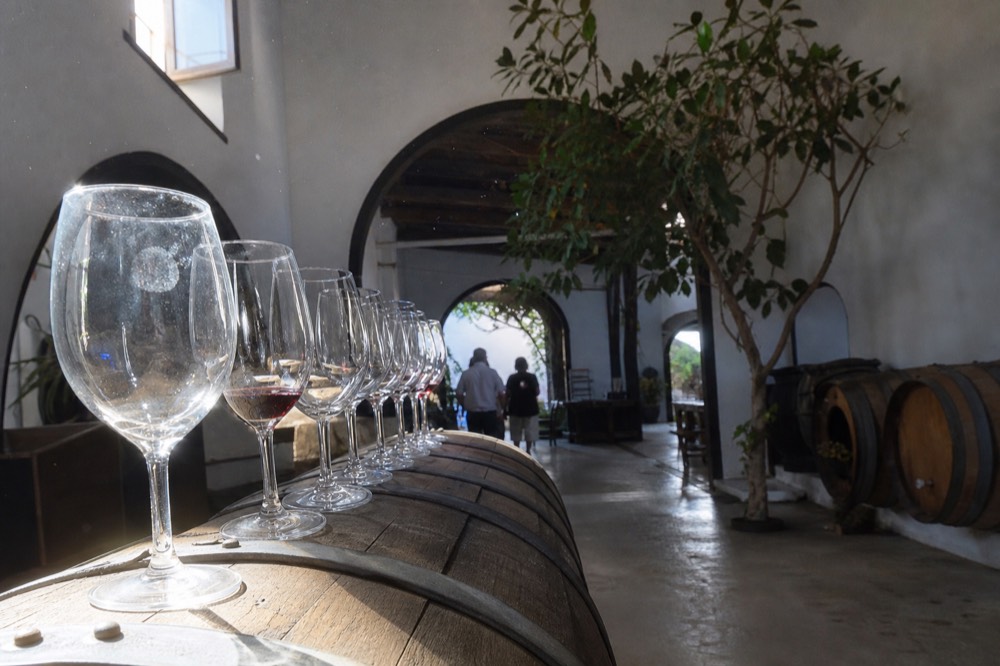 Wine glasses lined up on a barrel in a Lanzarote bodega