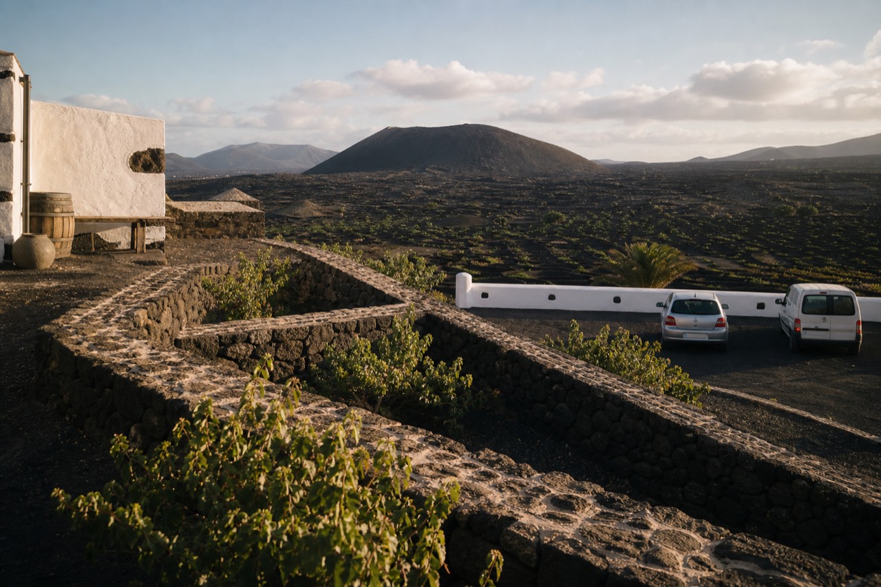 Vineyards and stone walls outside a whitewashed Lanzarote bodega
