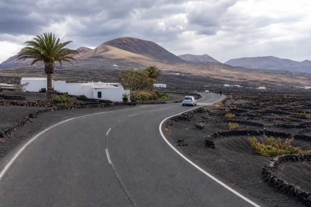 Road winding through black ash fields with rows of sheltered vine pits